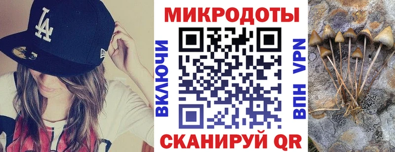 kraken ONION  Пионерский  Галлюциногенные грибы Magic Shrooms 